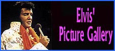 Elvis' Picture Gallery